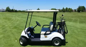 Electrical Golf Cart