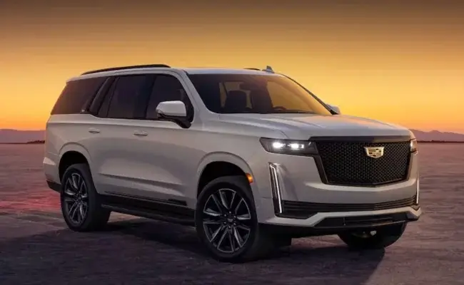 best cars for tall people